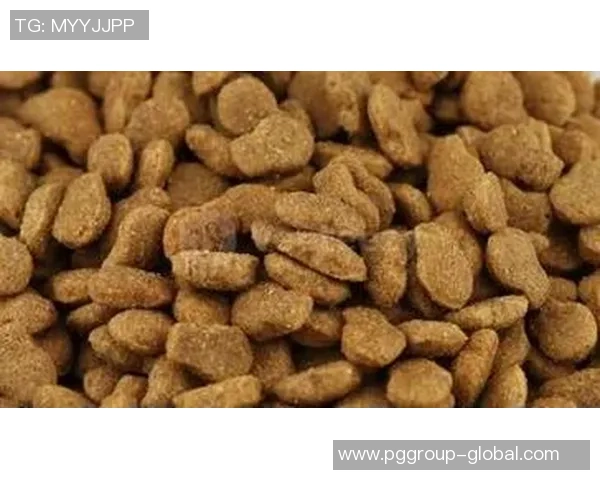 pg麻将胡了2试玩体验-PG麻将胡了2试玩体验-pg麻将胡了2试玩体验